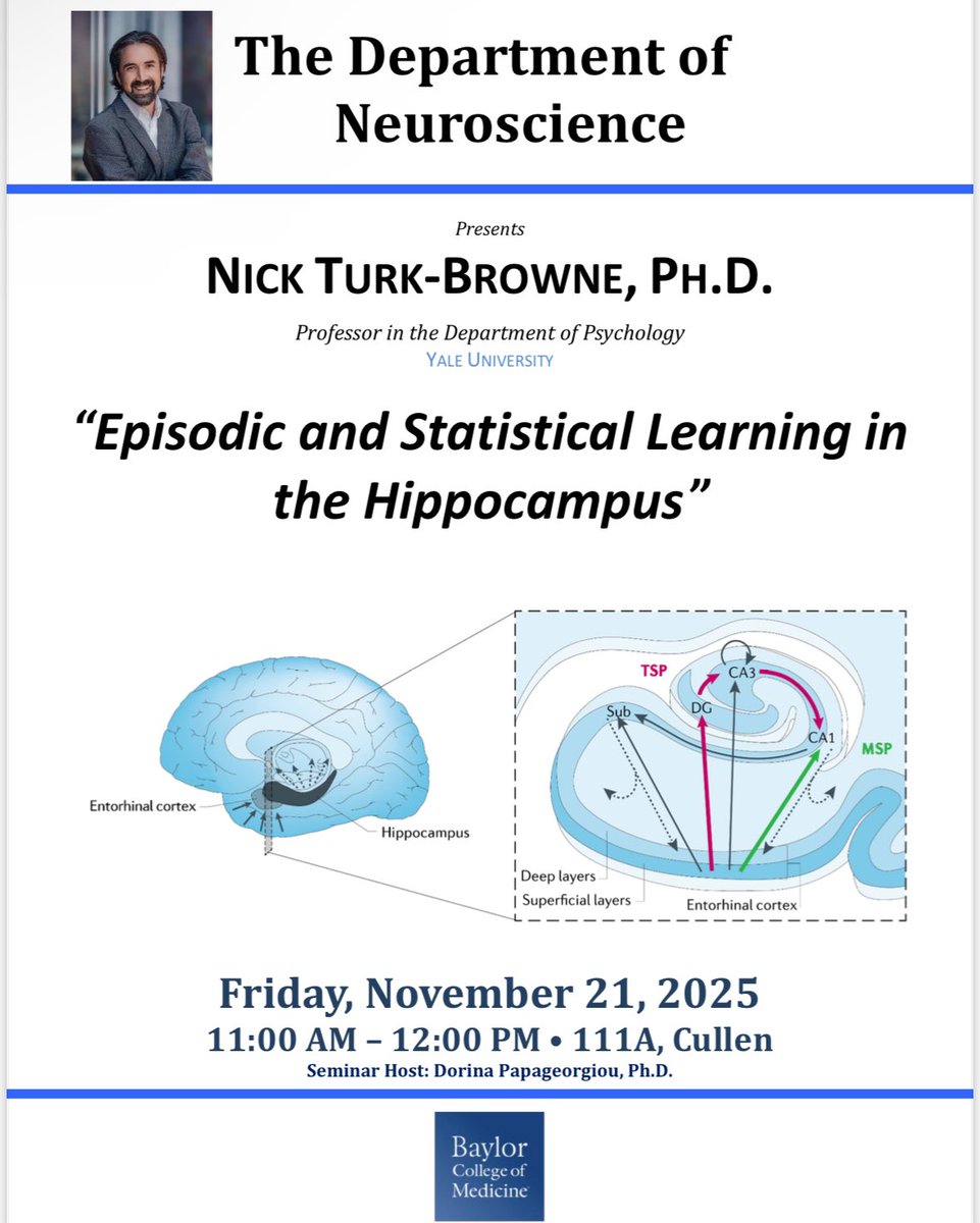 bcm_neurosci's tweet image. Join us Friday for our neuroscience seminar series!🧠

Dr. Nick Turk-Browne, from Yale University, will present: “Episodic and Statistical Learning in the Hippocampus”

📅 Nov. 21, 2025  
🕑 11am-12pm  
📍 111A Cullen