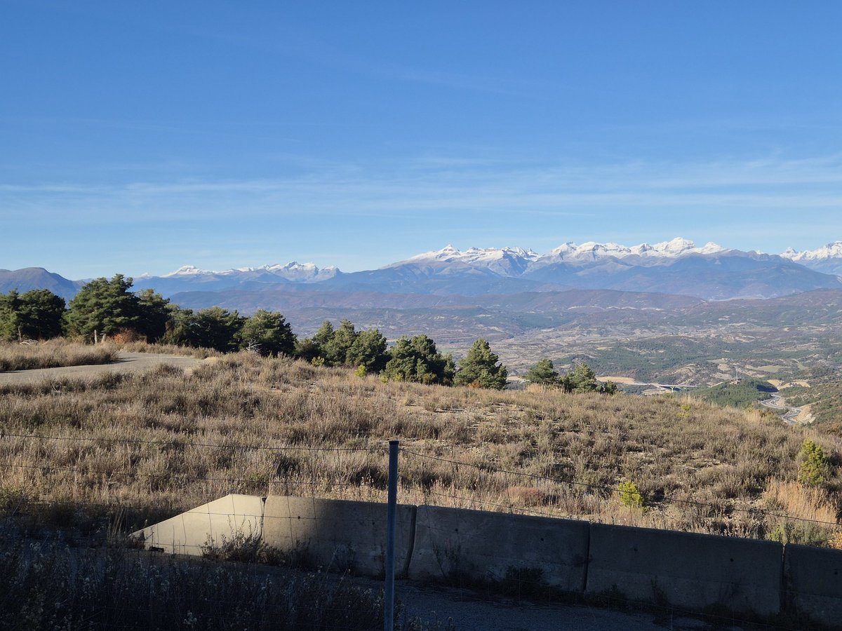 LuisEAular's tweet image. Que bonito lo bonito!!!