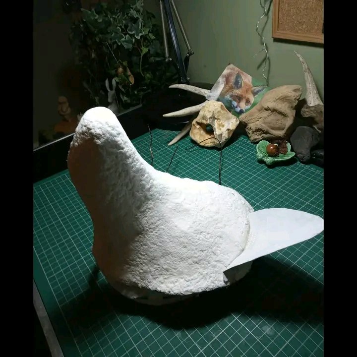 It's been lovely to finally find a bit more time for my fox spirit mask &amp; I'm pleased with how she's coming along. It's taken more sculpting with the papier mache than I'd thought it would to really feel that she has her proper form. She's starting to awaken. 🦊✨