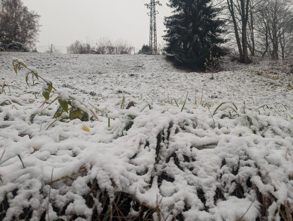 hedvikaduchan's tweet image. 11月11日、聖マルティンの日から1週間。聖マルティンが雪を連れてくるというこちらに伝わる伝説通りに #カルロヴィヴァリ 近郊は初雪が降りました。11日に解禁になった今年の新しいワインと共に雪見。
#チェコ
#チェコへ行こう
#聖マルティン 
#初雪