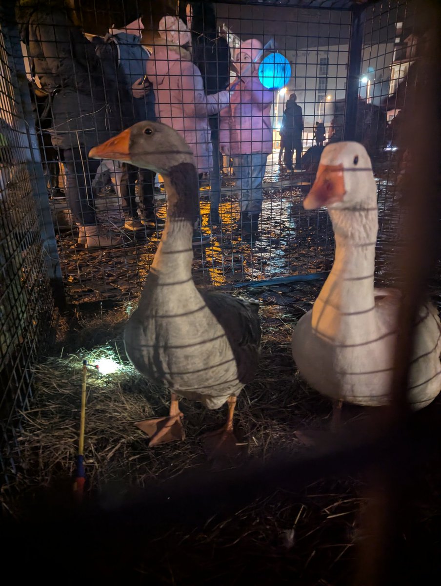 hedvikaduchan's tweet image. 11月11日、聖マルティンの日から1週間。聖マルティンが雪を連れてくるというこちらに伝わる伝説通りに #カルロヴィヴァリ 近郊は初雪が降りました。11日に解禁になった今年の新しいワインと共に雪見。
#チェコ
#チェコへ行こう
#聖マルティン 
#初雪