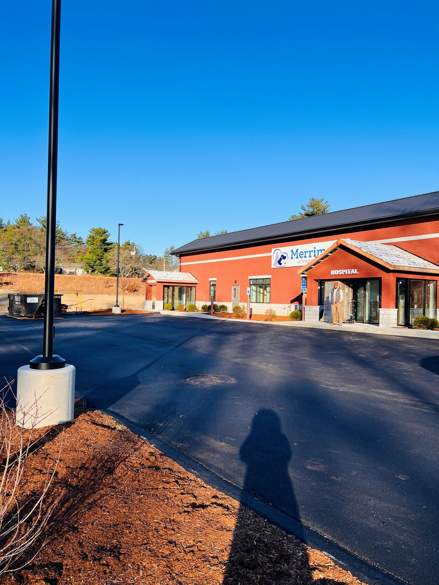 Steel Elements Int. tweet media