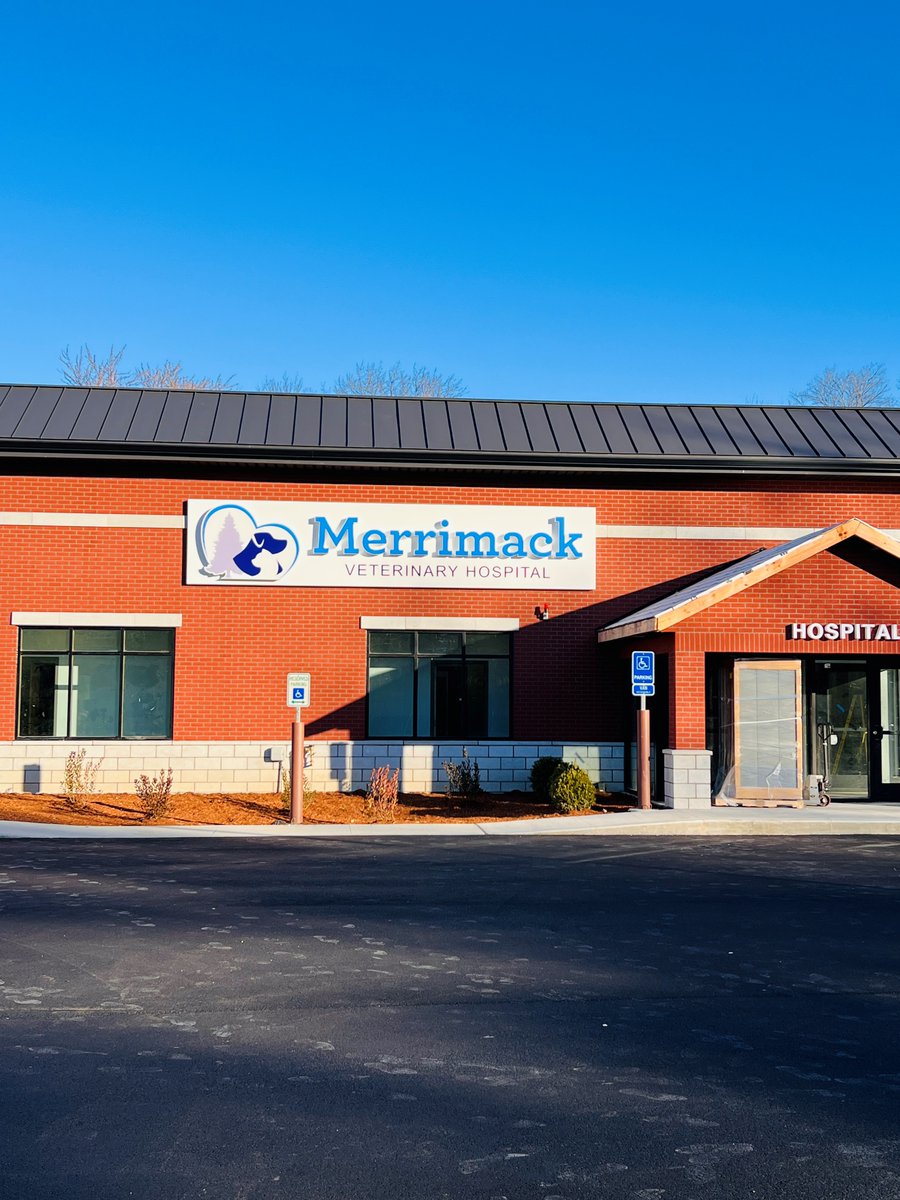 Steel Elements Int. tweet media