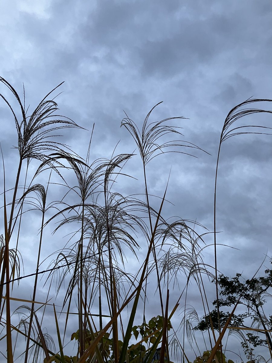 tocchi0204's tweet image. 