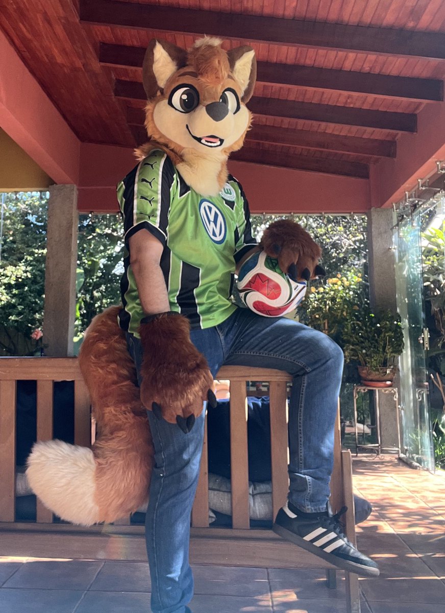 Gabe_Bold's tweet image. Something really cool came by the mail a few days ago, thought that I might show you! 

Masterfully crafted by The @BakeryFursuits, by @Bagel_deer 🙌