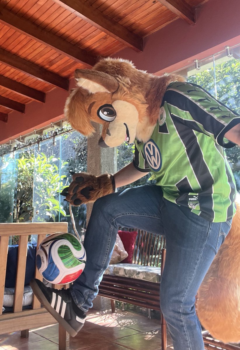 Gabe_Bold's tweet image. Something really cool came by the mail a few days ago, thought that I might show you! 

Masterfully crafted by The @BakeryFursuits, by @Bagel_deer 🙌