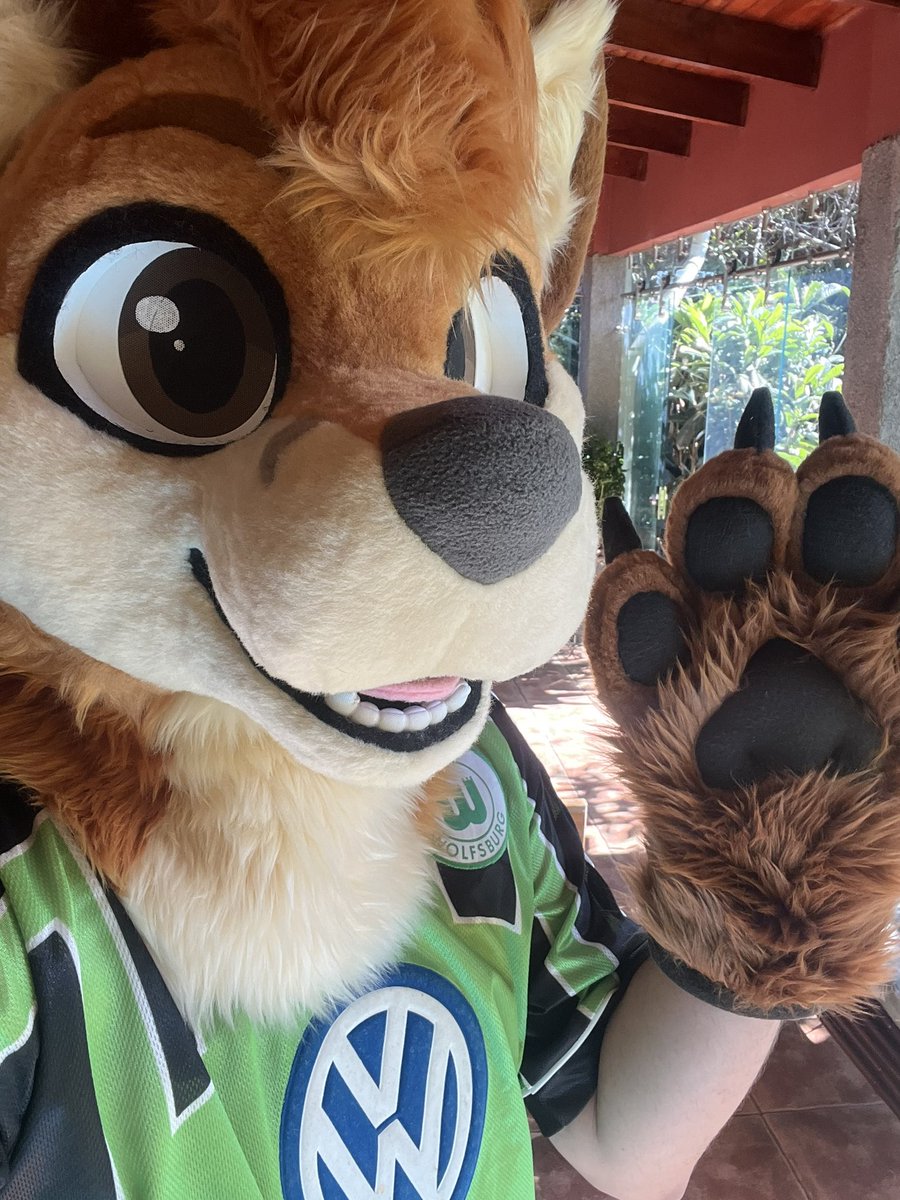 Gabe_Bold's tweet image. Something really cool came by the mail a few days ago, thought that I might show you! 

Masterfully crafted by The @BakeryFursuits, by @Bagel_deer 🙌