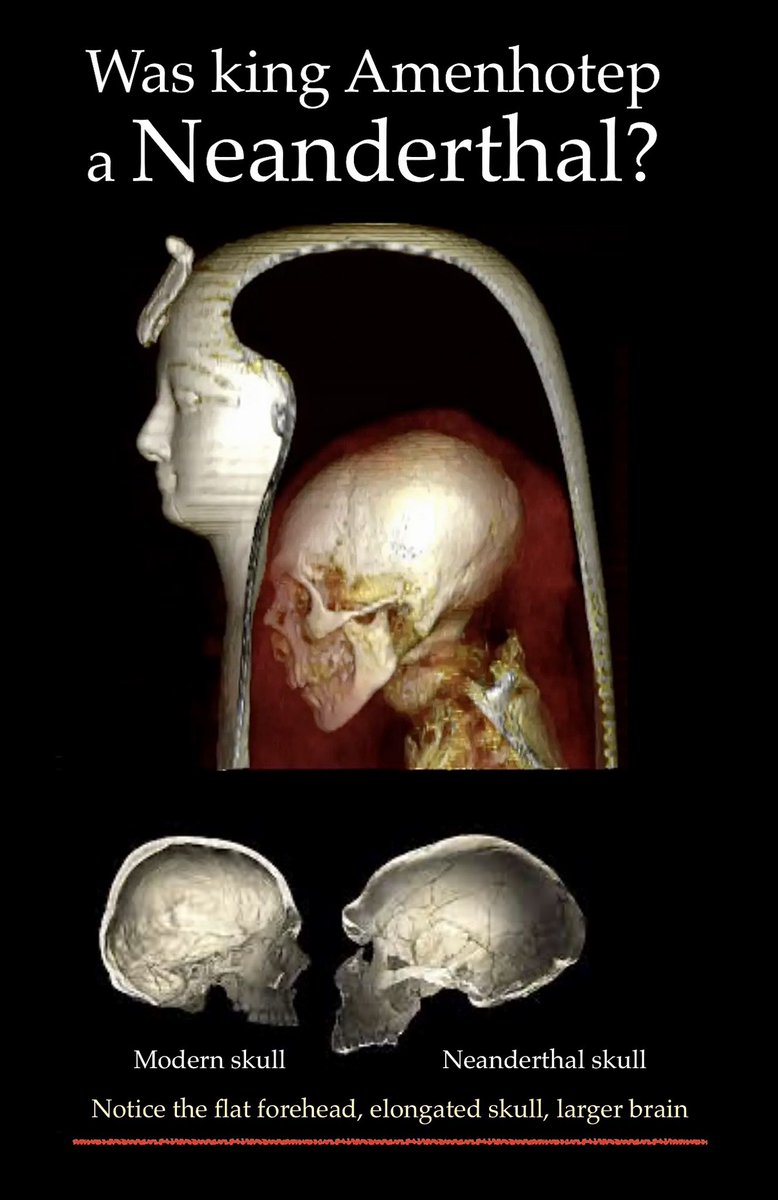 kkirchev's tweet image. This above is the skull of an Egyptian pharaoh…