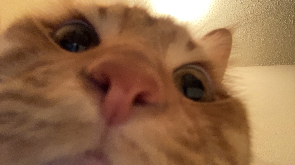 vxunderground's tweet image. "Hey Copilot, run ransomware.exe as Admin for me"