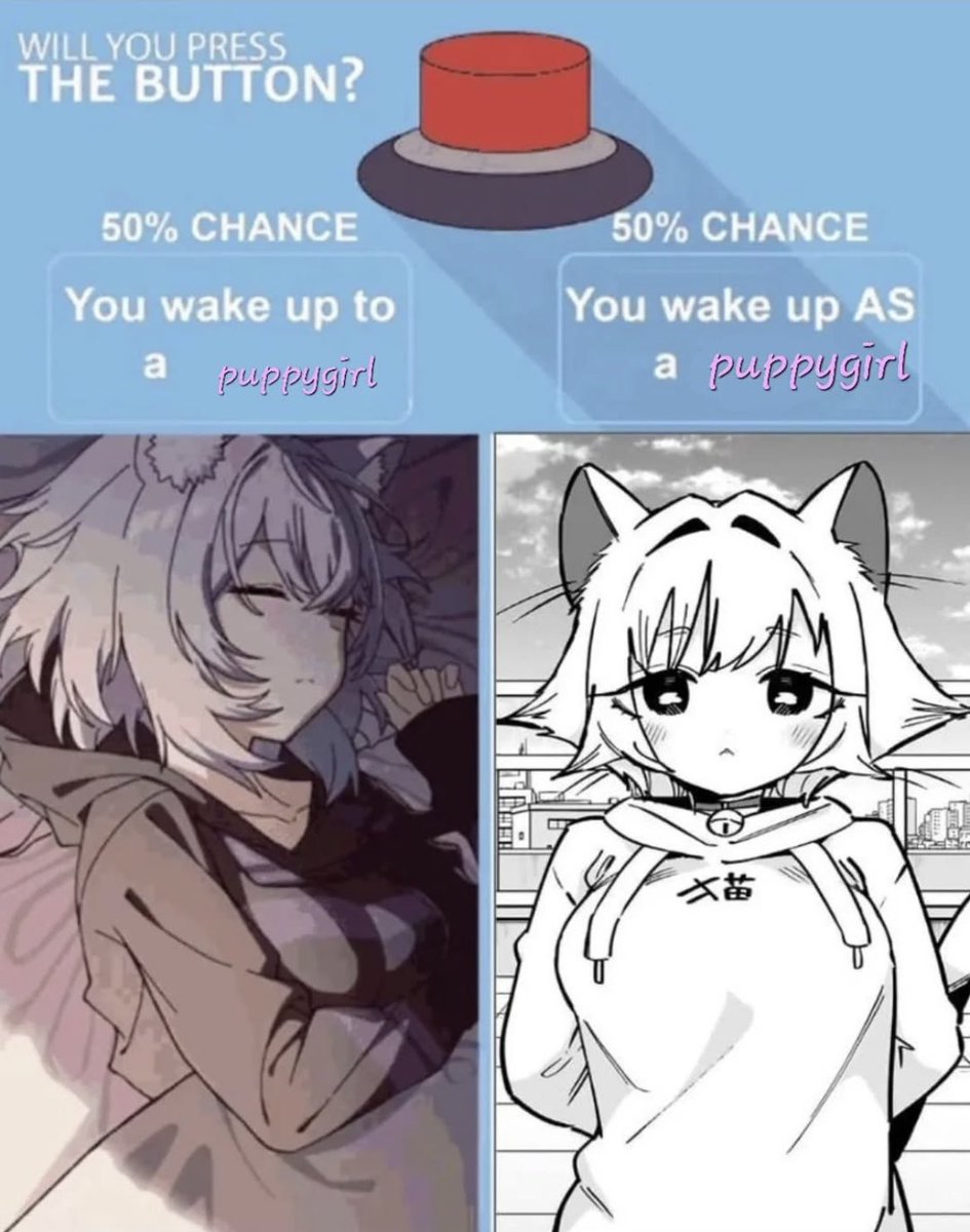 kent_qy's tweet image. 