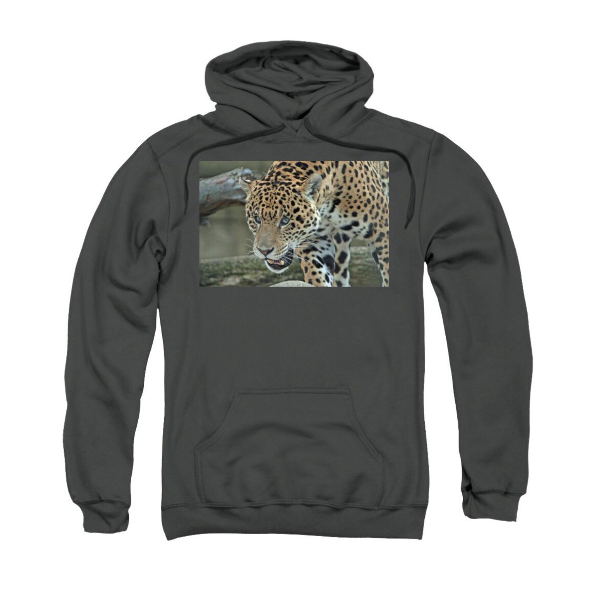 Check this out and the price is even better at 50% off just today!

Majestic Jaguar on The Prowl by Shonna Hawkins 
shonna-hawkins.pixels.com/featured/majes…

Be sure to order the right size.

30 day money back guarantee.
#BuyIntoArt