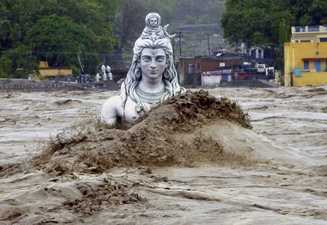 I will survive every market