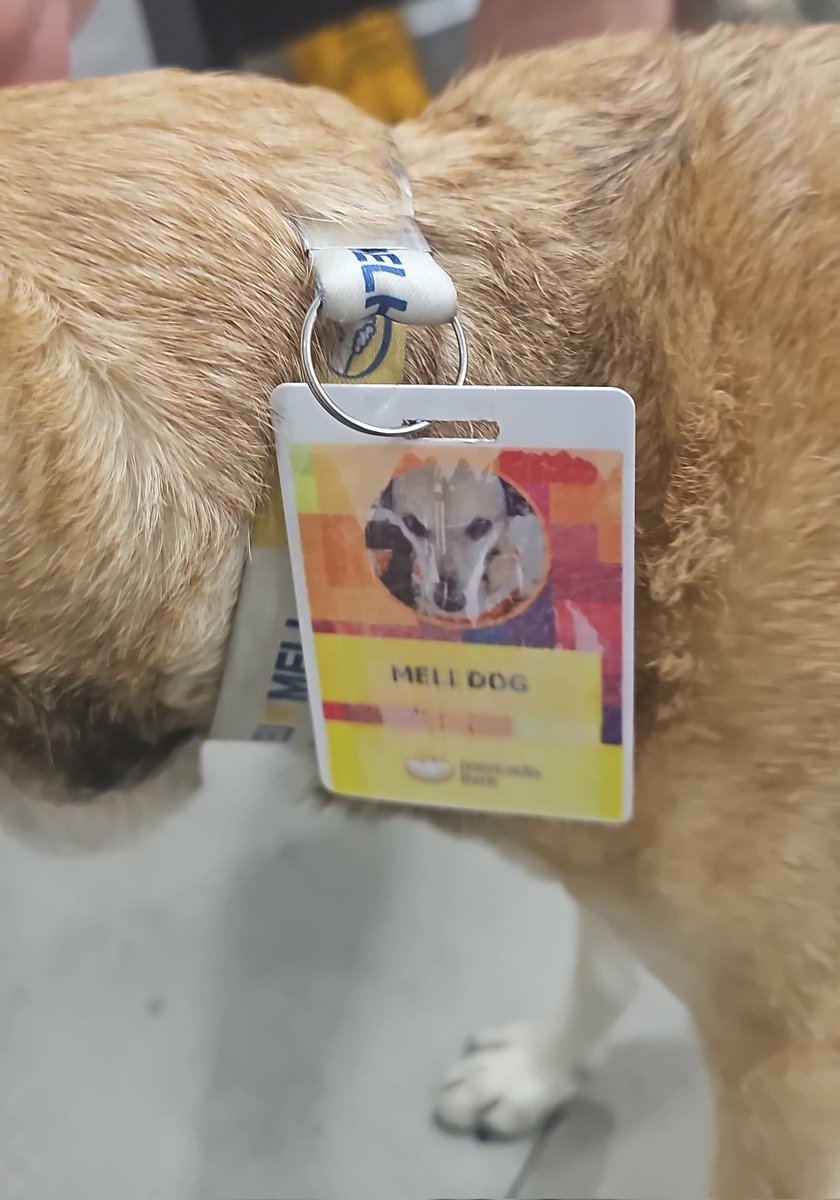 cloudwithgui's tweet image. 