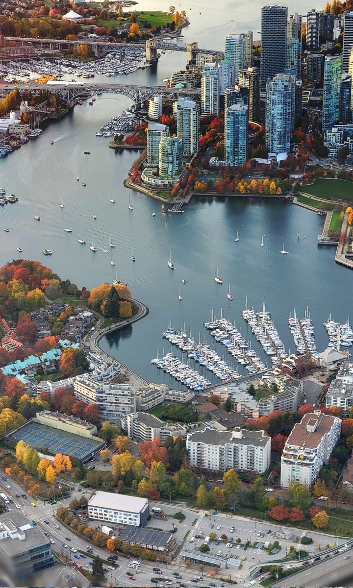 TrishJewison's tweet image. Beautiful Fall colours in #Vancouver 🍂
