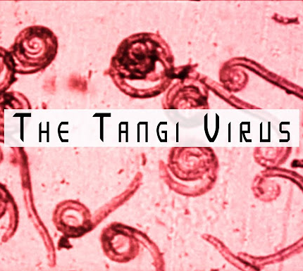 Analog Horror Facts 📼 tweet media