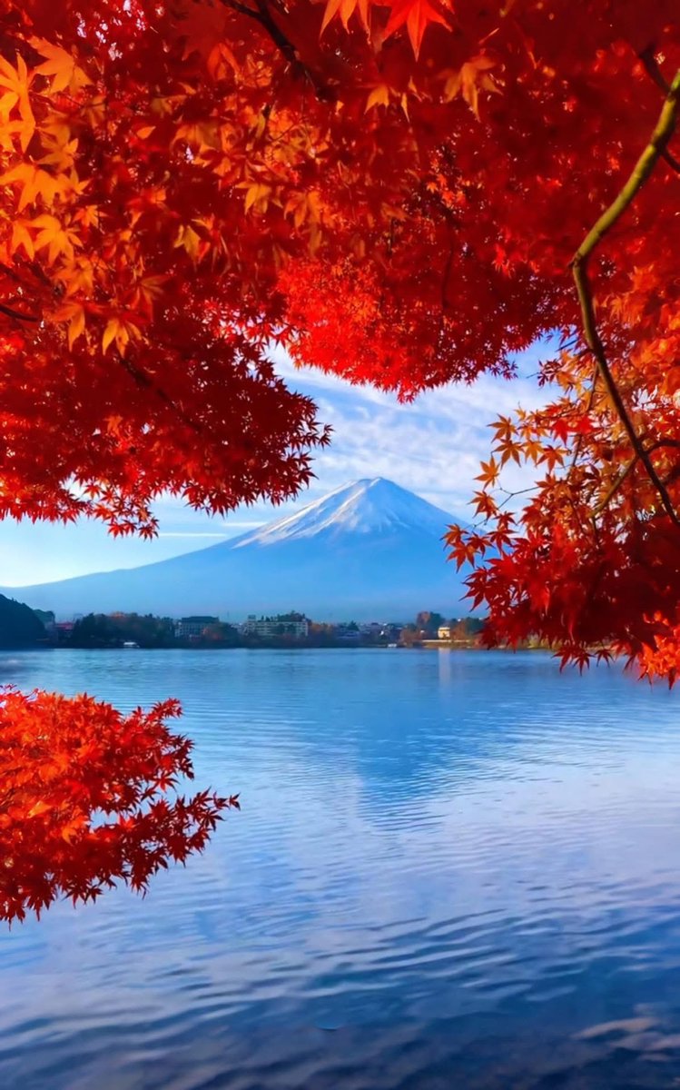 皆さん、おはようございます😺
今日も✨よろしくお願いします
今朝は快晴です☀️
良い一日をお過ごし下さい👋