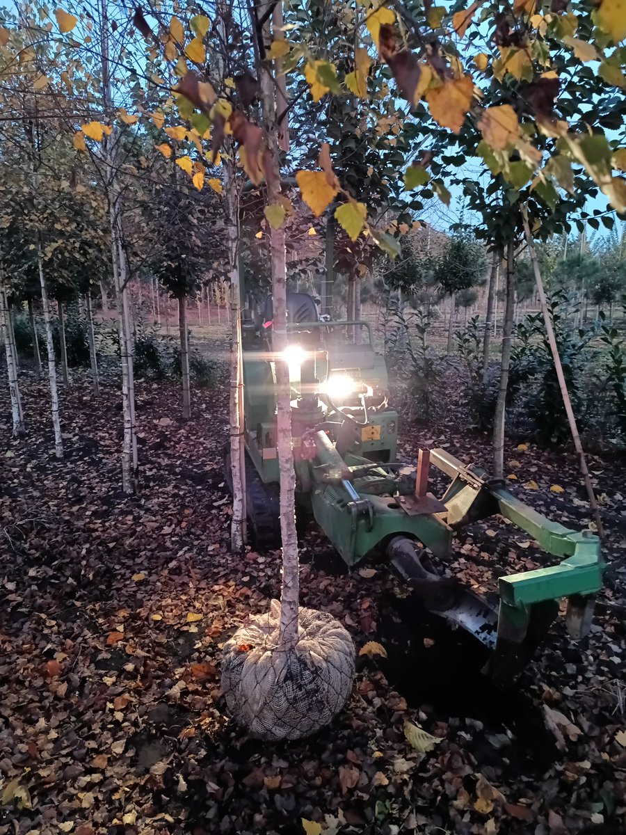 Het is flink druk op de kwekerij.
#mooiwerk
#boomkwekerij
#baumschule
#treenursery
#bomen