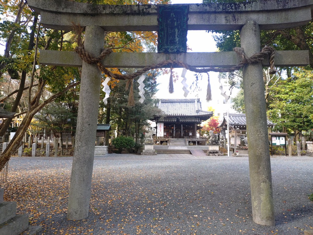 ooijinja's tweet photo. 11月19日朝の境内・参道です。
徐々に色付いてきました。
#亀岡市 #大井神社 #鯉明神 https://t.co/qkhGlVftI0