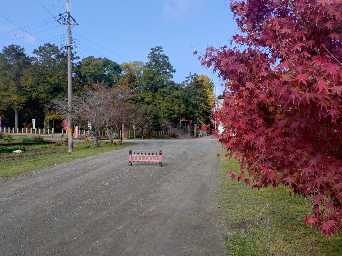 ooijinja's tweet photo. 11月19日朝の境内・参道です。
徐々に色付いてきました。
#亀岡市 #大井神社 #鯉明神 https://t.co/qkhGlVftI0