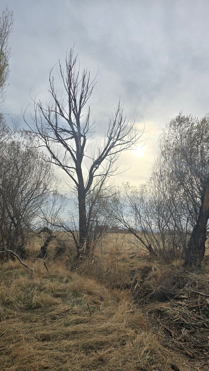 Burası dünya... Burası bu kadar işte...