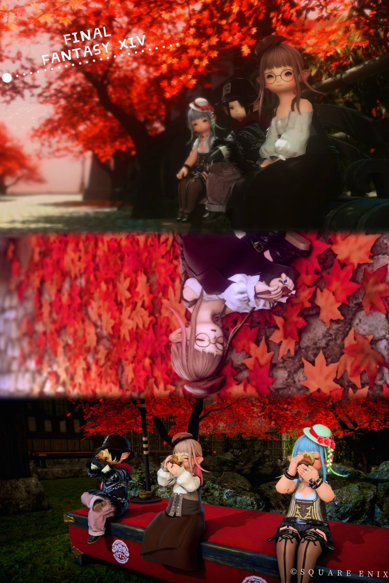 cross_96hiyo's tweet image. CWLSのみなさんと、紅葉の中でお茶会🍵
#FF14SS #FF14 #ララフェル