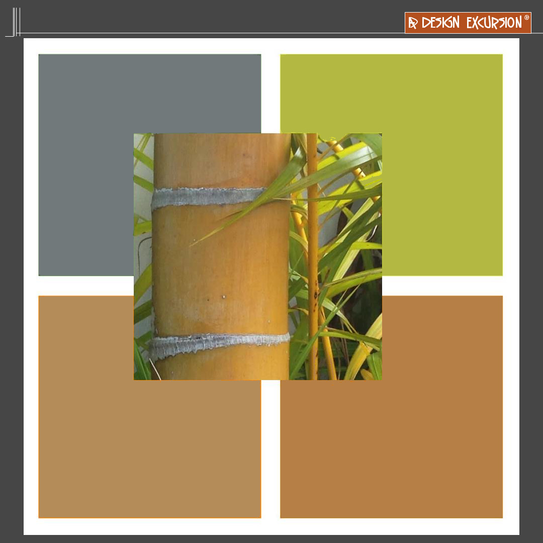 designexcursion's tweet image. yellow green shows regrowth

#yellowgreen #inspo #moodboardinspo #adesignexcursion