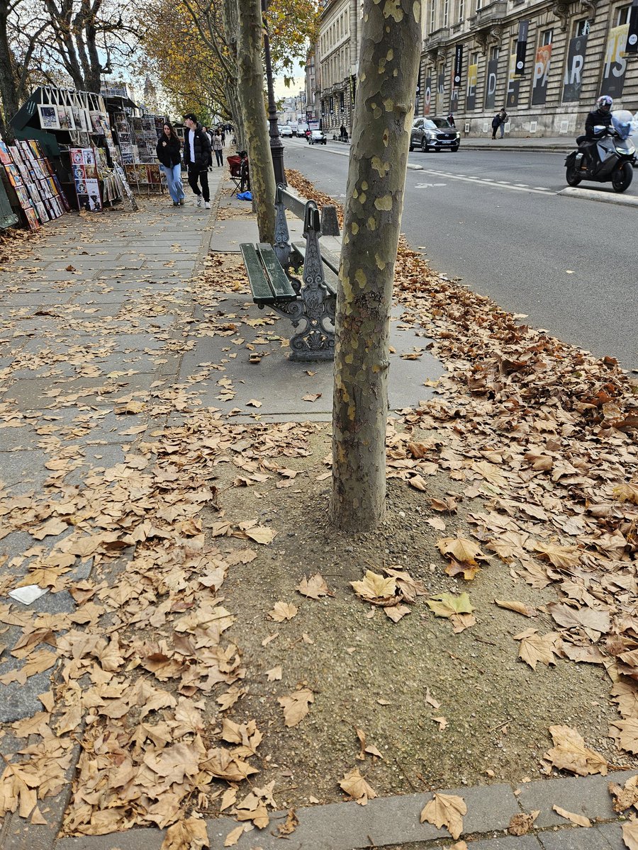 Rhubarbebleue's tweet image. Ah ! La gestion de la voirie de l&apos;équipe #Hidalgo ! Fiasco permanent !