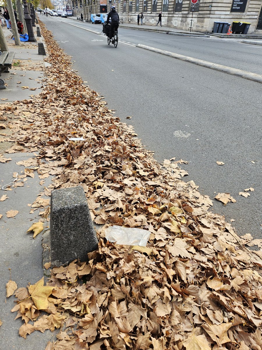 Rhubarbebleue's tweet image. Ah ! La gestion de la voirie de l&apos;équipe #Hidalgo ! Fiasco permanent !