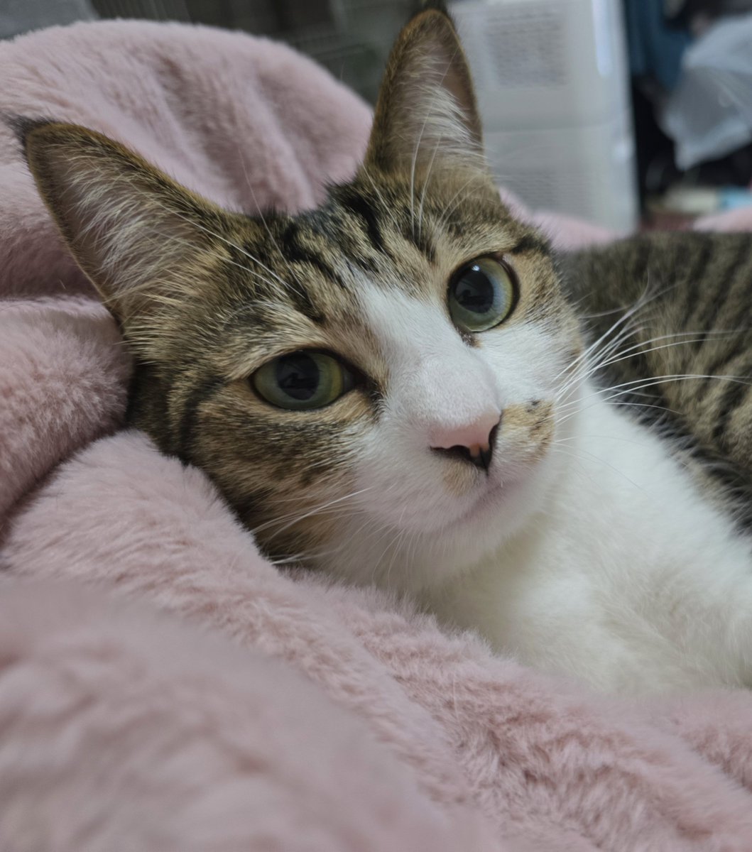 まりもちゃん！と🧌 (@marimo2021915) / Posts / X