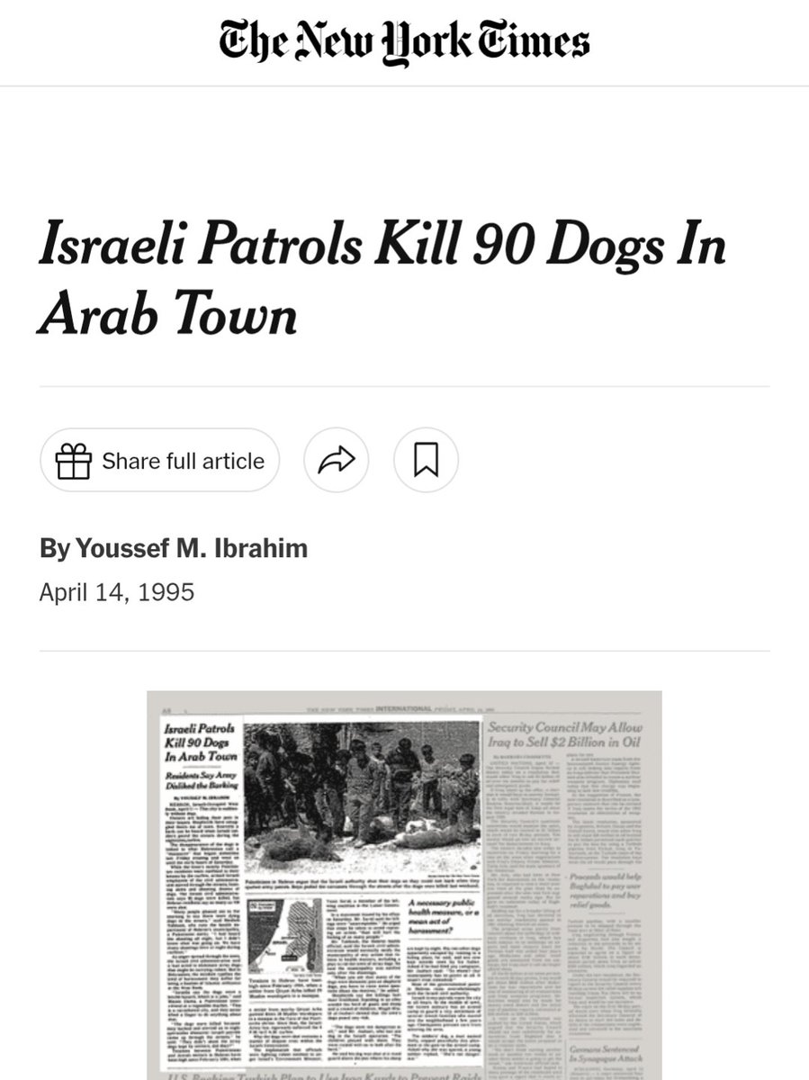Remember when you guys killed nearly 100 dogs in a small town?