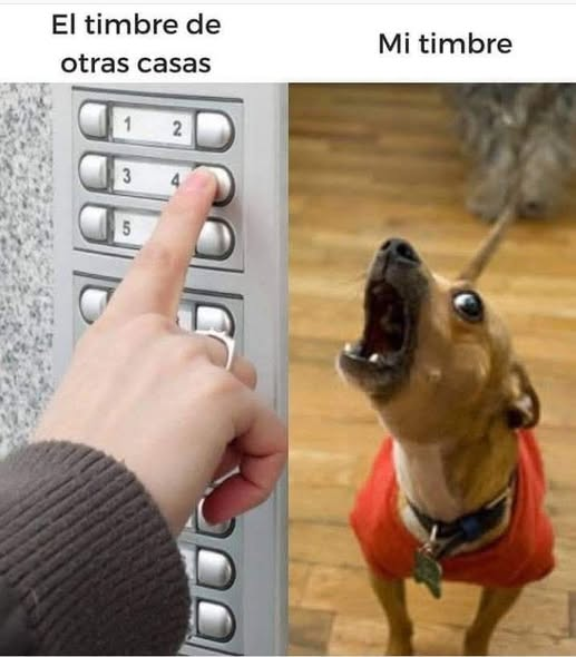 Matías Méndez tweet media