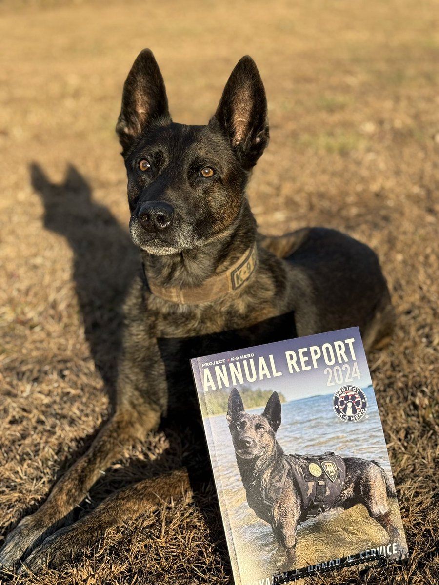 ProjectK9Hero's tweet image. Our Project K-9 Hero “Unleashed Magazine” Issue 2, combined with our 2024 Annual Report, featuring K-9 Rikki on the cover, is now available on our website! These are a Limited Edition purchase, so get your copy TODAY at:

projectk9hero.org/products/unlea…