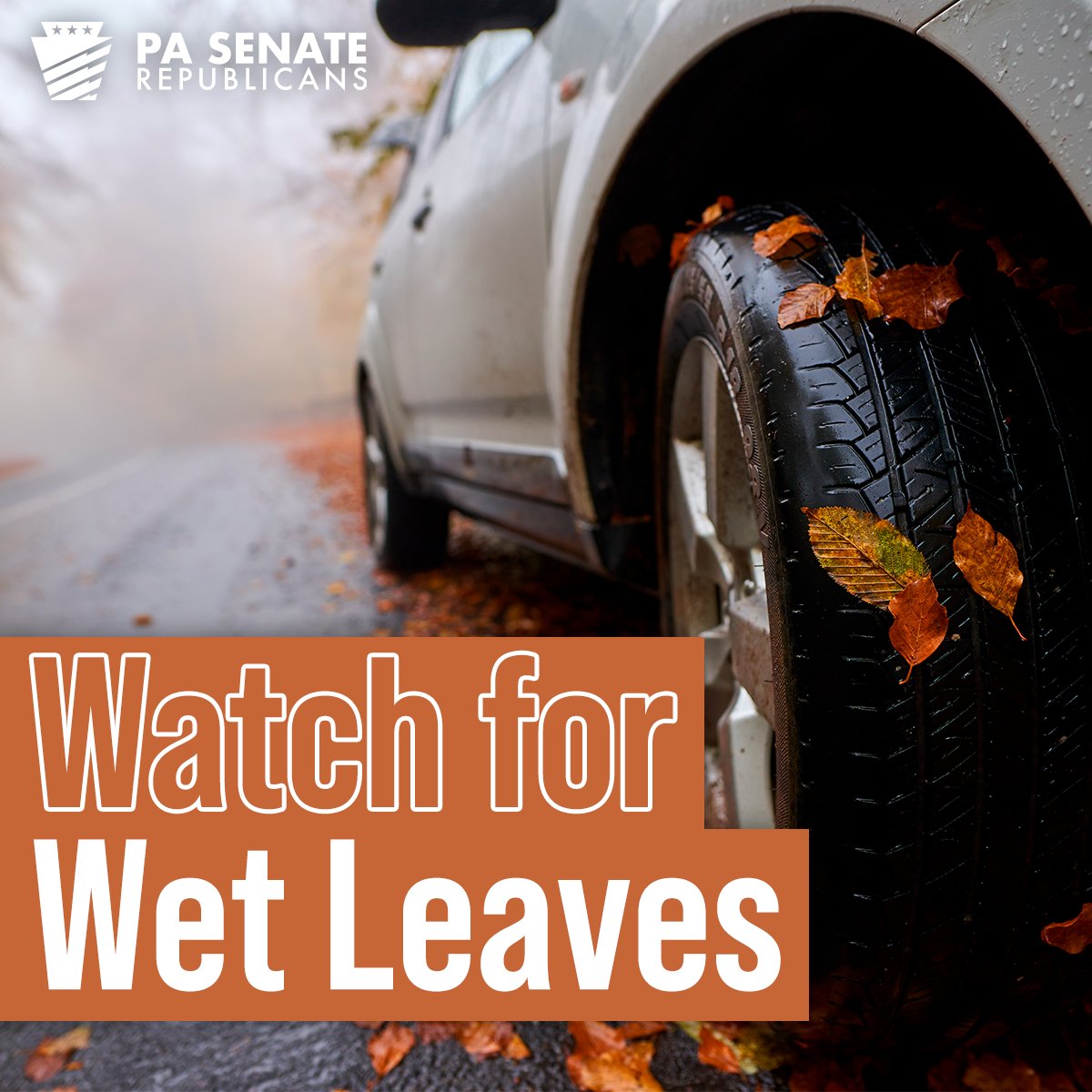 🍂Wet leaves, fog and frost are some of fall’s driving hazards. Wet leaves can make the roadway as slippery as ice and obscure traffic lines. More from @PennDOTnews bit.ly/4nI8UQC