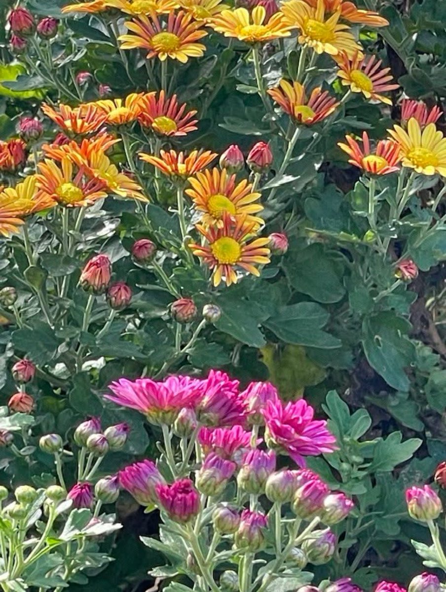 皆さんおはようございます。
シベリア気団が南下して、寒い一日になりそうです。日本海側では荒れているでしょうね。

暖かくして良い一日をお過ごし下さい。