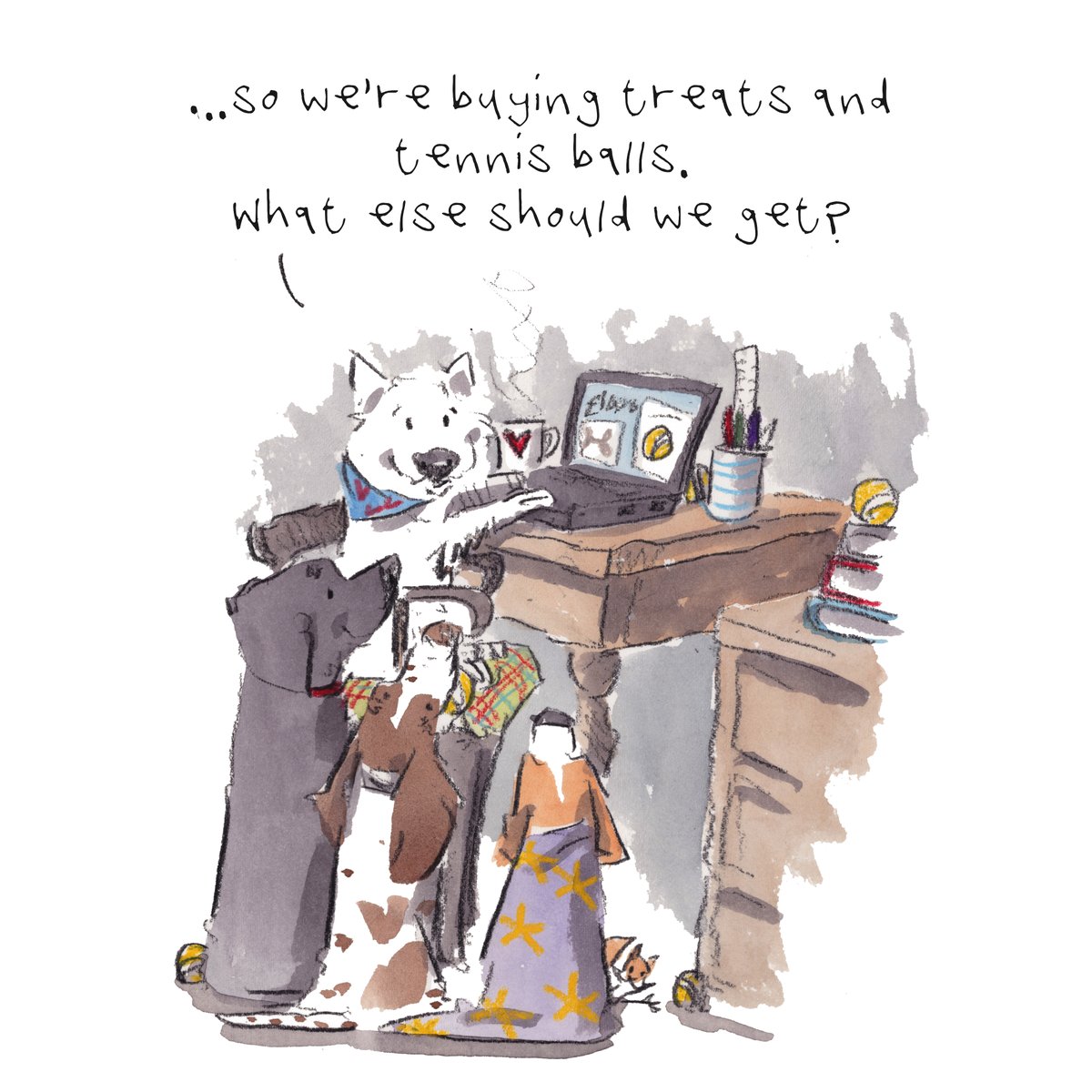 Good night, lovely people and lovely dogs.
The team are doing a little bit of shopping.
Sleep well and sweet dreams.
I hope that you have a really wonderful day tomorrow. 
#hoorayfordogs #labrador #westie #springer #beagle #redsquirrel