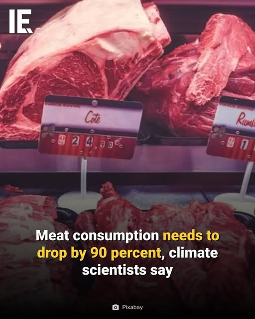 PecanC8's tweet image. Oxford researchers say western countries must cut meat consumption by up to 90% to curb climate change.

What say you?