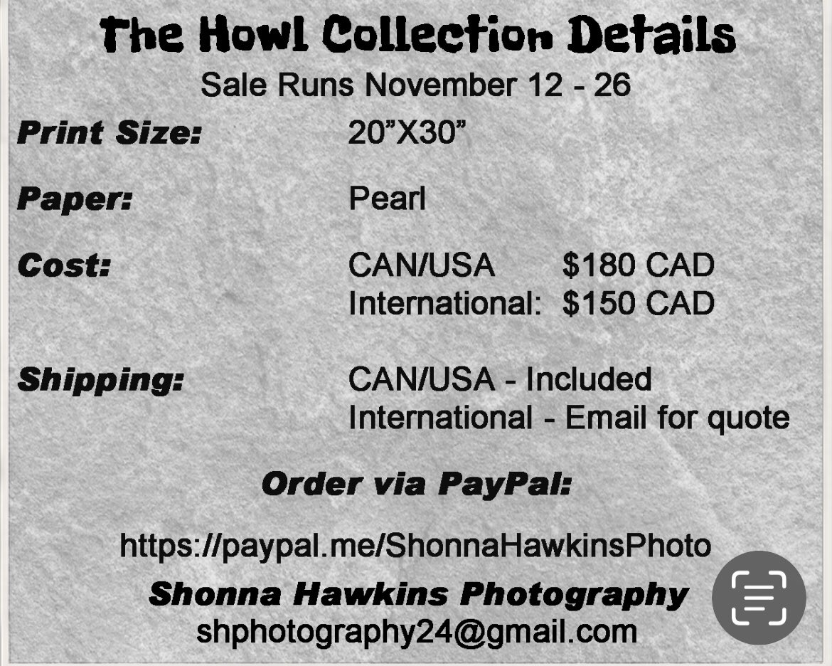 THE HOWL COLLECTION - DAY 7 Photograph 7

7) An Indigenous elder shares her wisdom "The caribou are suffering because we have not cared for the land. The wolf is a mirror of our own actions." Her words challenge the easy narrative of blame.

#BuyIntoArt shphotography24@gmail.com