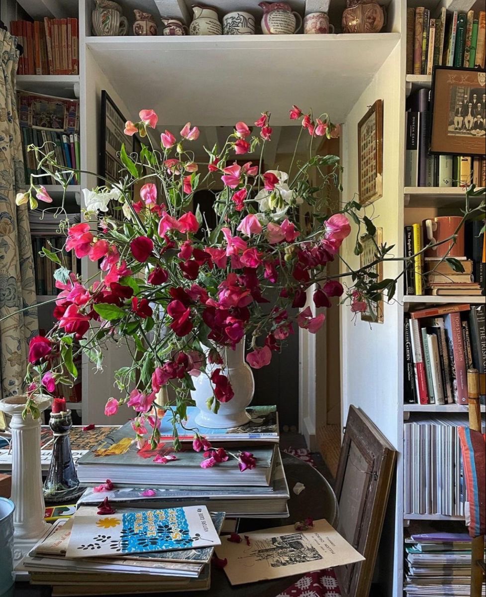 maximalismo de libros y plantas, rehabilitaciones y caos compartido para mí