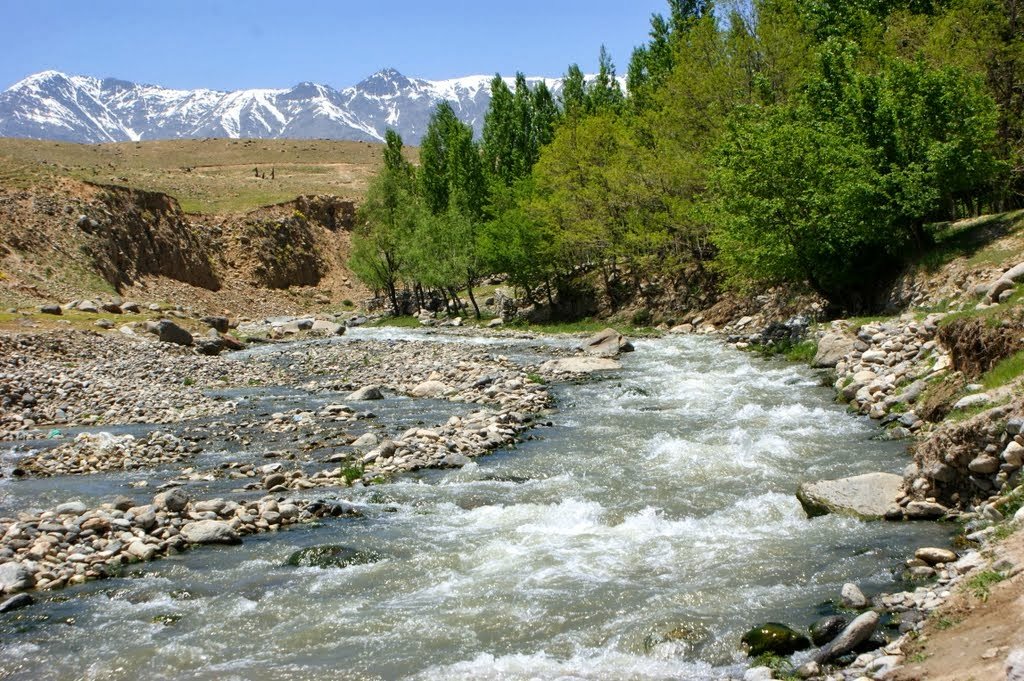 Our activation in Korea at KBW is the blueprint for our Global Hub Activations around the world. 

As I have said before, this is a boots on the ground, each one teach one, eye to eye contact initiative. Our distribution will be our strength. 

In Dari/Persian there is a saying: