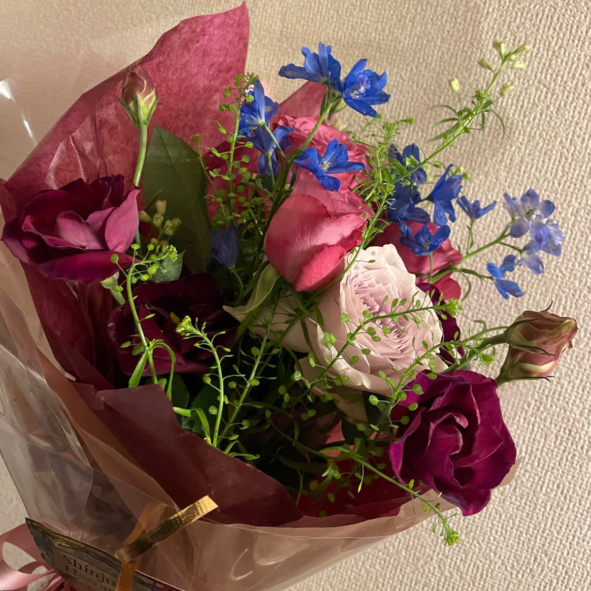 賀々贒三 tweet media