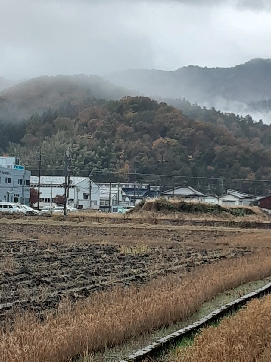 speck_ot's tweet photo. 雨の中、朝散歩&amp;ラン。山では、紅葉が進んでいます。山装う… https://t.co/0cLLc2hqzz