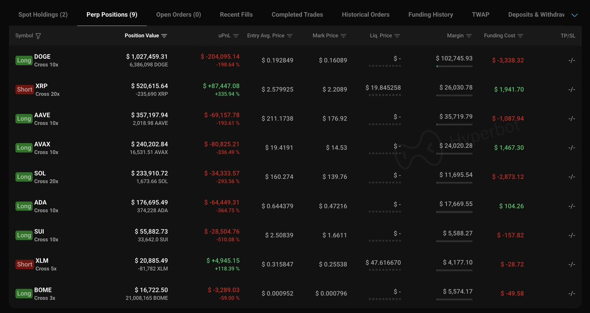 HyperLiquidトレーダーのパーペチュアルポジション概要