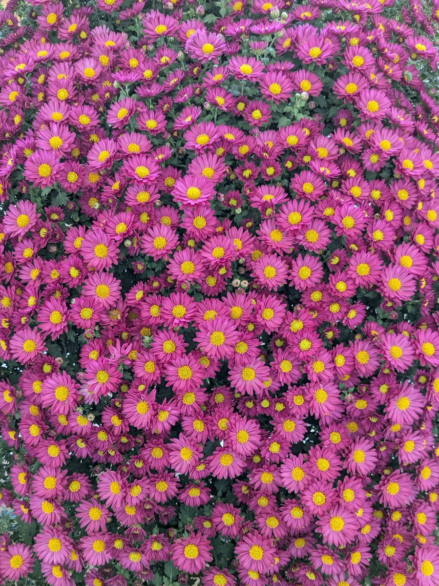 🌈🌸💖ゆりゆり💖🌼🌈 (@yuriyuri6281) / Posts / X