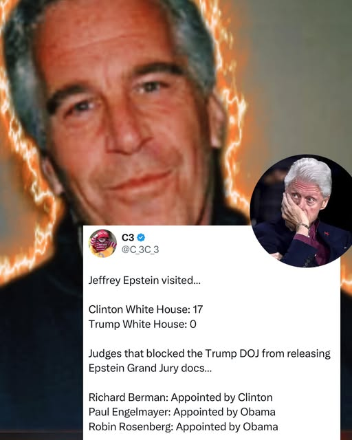 RickyDoggin's tweet image. Let me be very clear, because a lot of folks are pretending not to know this and some don’t know the truth 

Jeffrey Epstein visited:

Clinton White House: 17 times
Trump White House: 0 times

And the judges who blocked the Trump DOJ from releasing the Epstein Grand Jury…