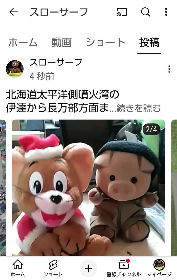 やわたろう🐱くまたろう🐻 (@Yawakuma4711) / Posts / X