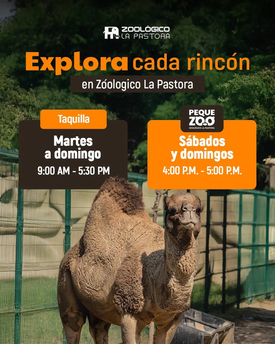 ¡Parque La Pastora te espera con sus puertas abiertas!🌿🦁

Vive la emoción de conocer cientos de especies animales y descubre historias fascinantes sobre cada uno de ellos. 🙌🏻

¡No te quedes sin vivir esta experiencia única!🐘🦚