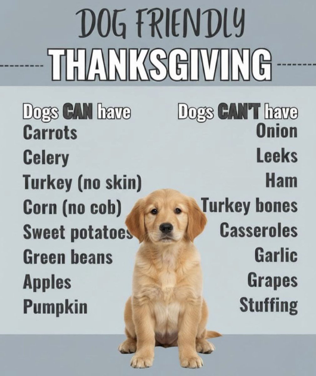 #Thanksgiving