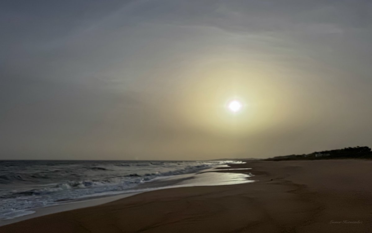 The_view_of_Leo's tweet image. Nube de polvo llegó a nuestras costas proveniente de los #incendios en la #Patagonia y debido a los fuertes vientos hay poca visibilidad #puntanegra #maldonado #uruguay @Inumet_ @metsul @Estacion_bcp @boleadorcharru @La_Pedrera @InvernizziMario @PuntadelEsteS @emekavoces