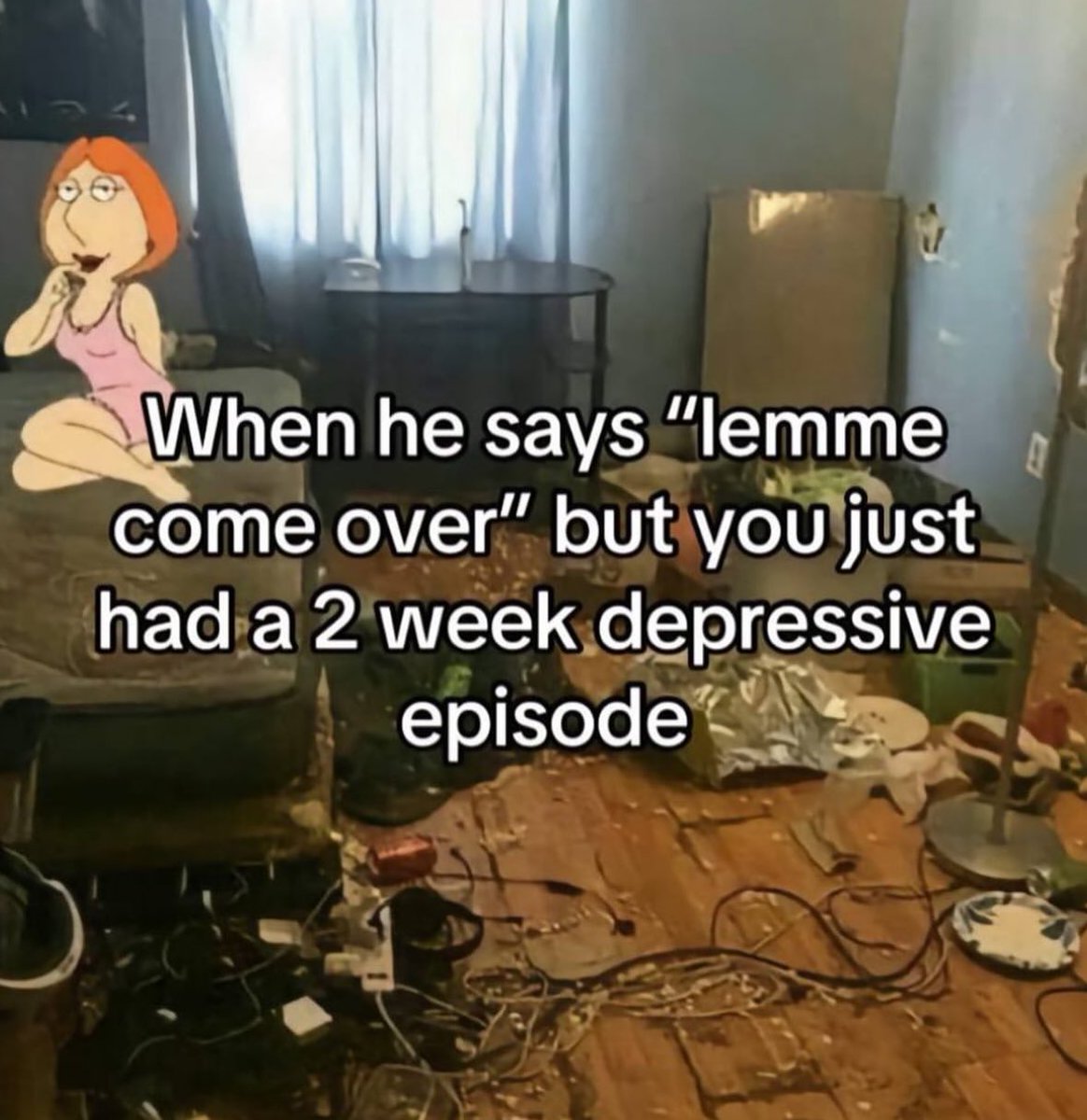 Out Of Context Animals (@animalscontexts) on Twitter photo 