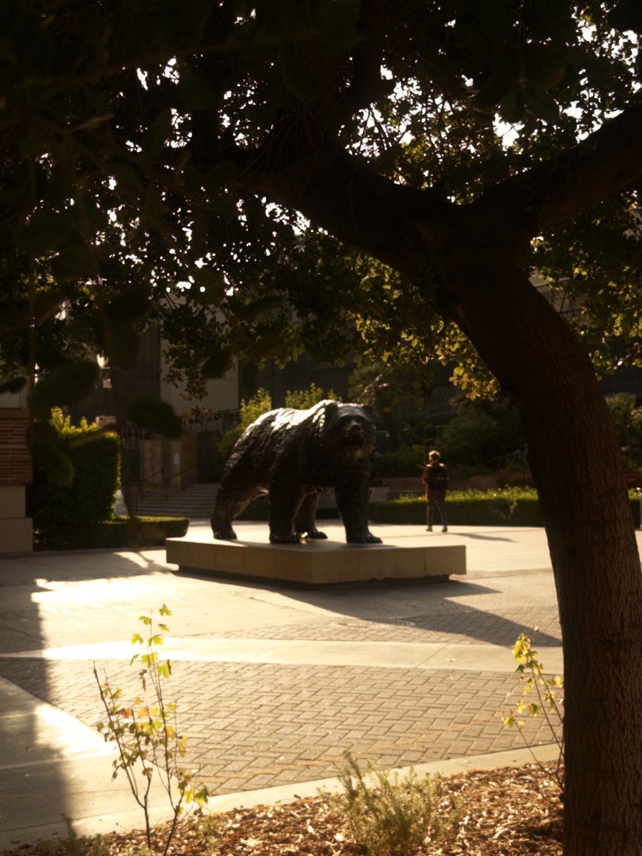 UCLA Summer Sessions tweet media